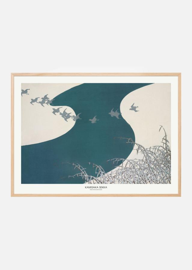 Birds From Momoyogusa Póster