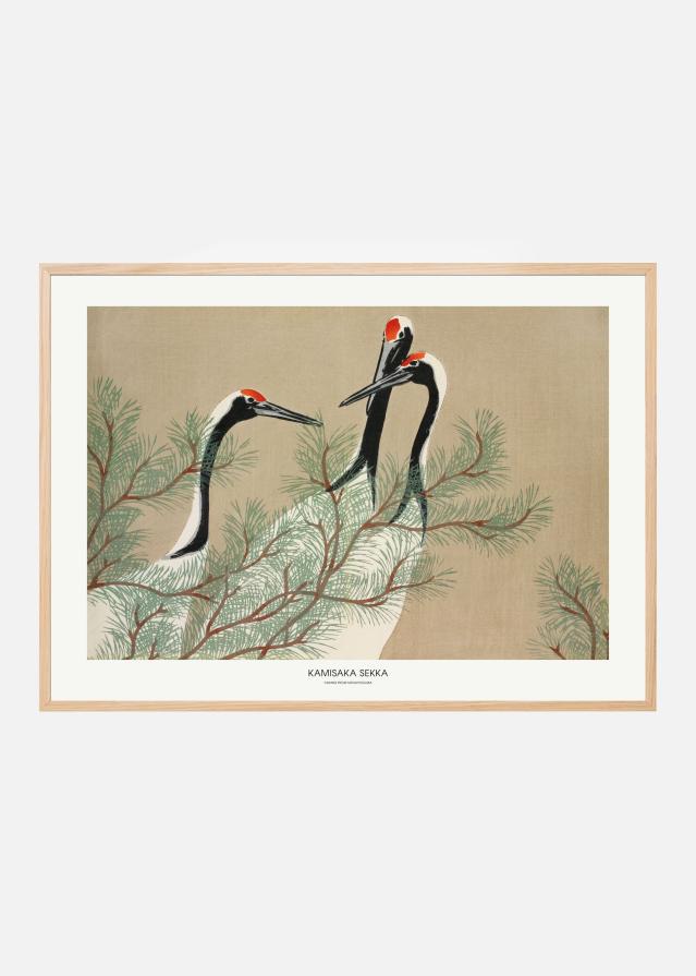 Cranes From Momoyogusa Póster