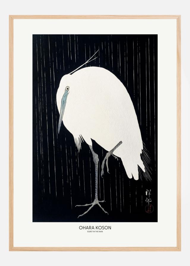 Egret In The Rain Póster