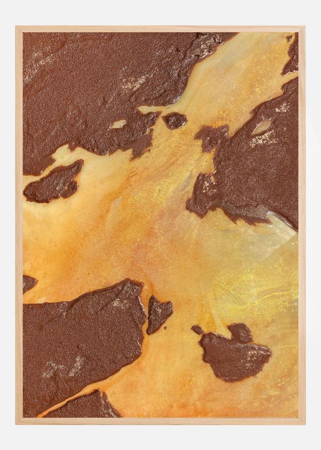 Desert Canyon Póster