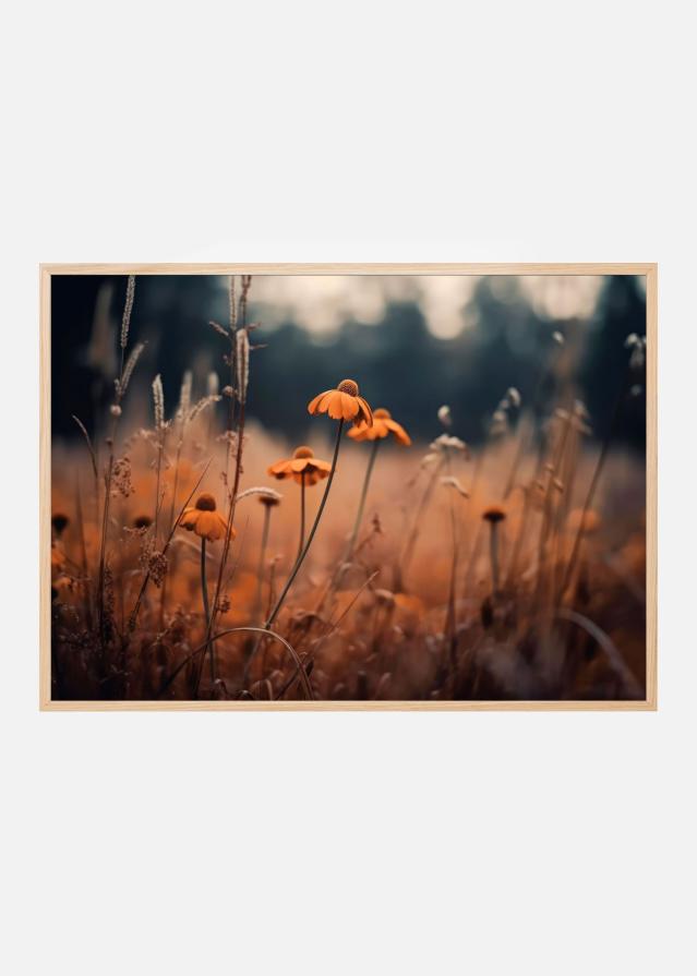 Orange Margarites Póster