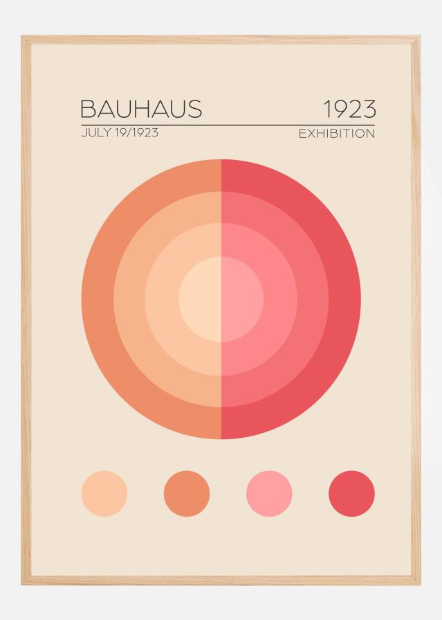 Bauhaus Pembe Daire Póster