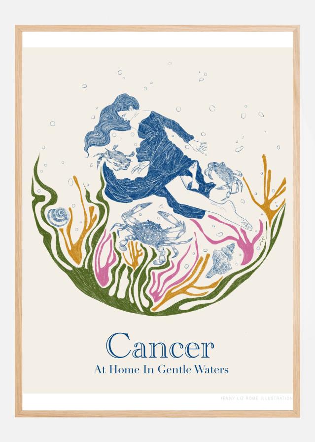 Jlr Cancer Copy Póster