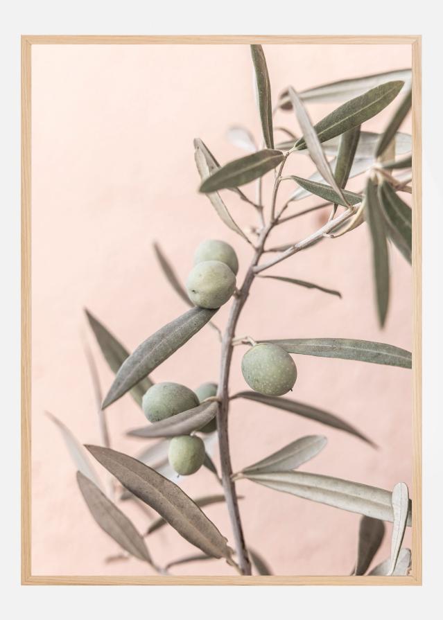 Olives Póster