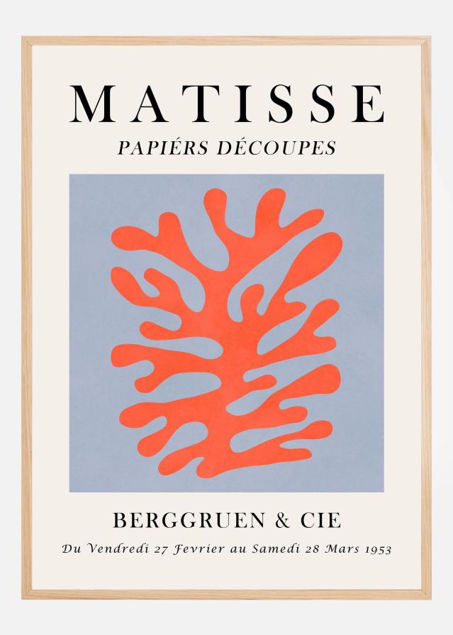 Matisse floral 8 Póster