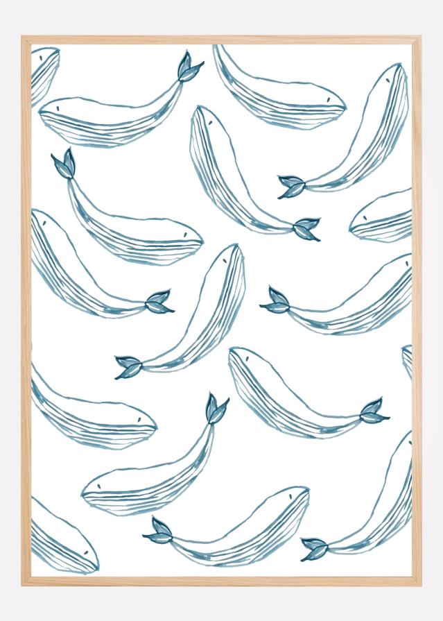 Ballenas Póster