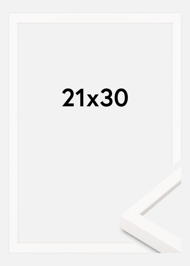 Macro de cuadro Blanco Delgado 21 x 30 cm