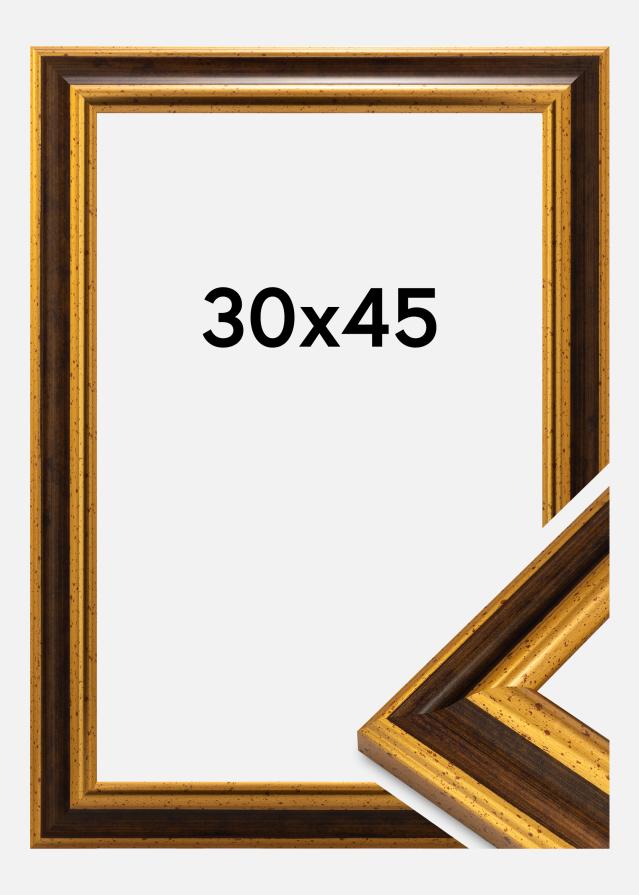 Marco Aberystwyth Vidrio acrílico Oro 30x45 cm