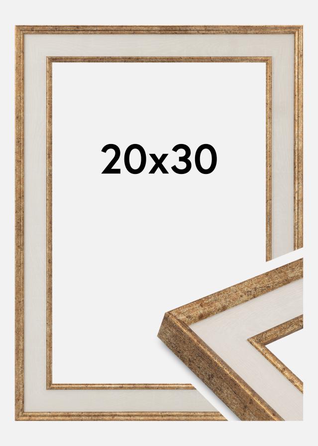 Marco Dolly Vidrio acrílico Oro 20x30 cm