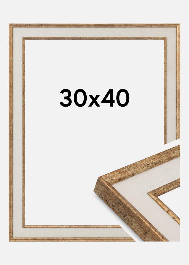 Marco Dolly Vidrio acrílico Oro 30x40 cm