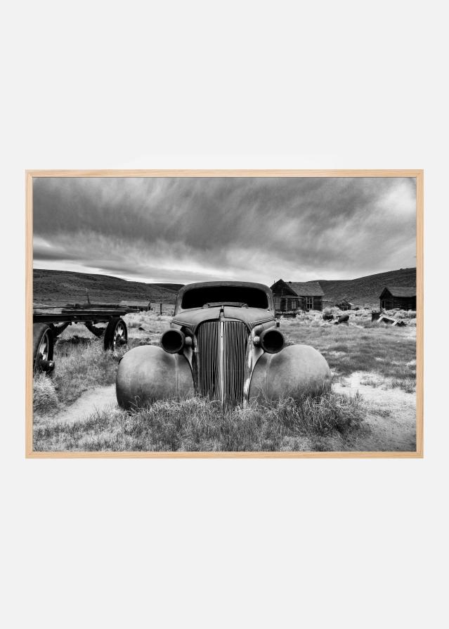 Bodie State Historic Park Póster