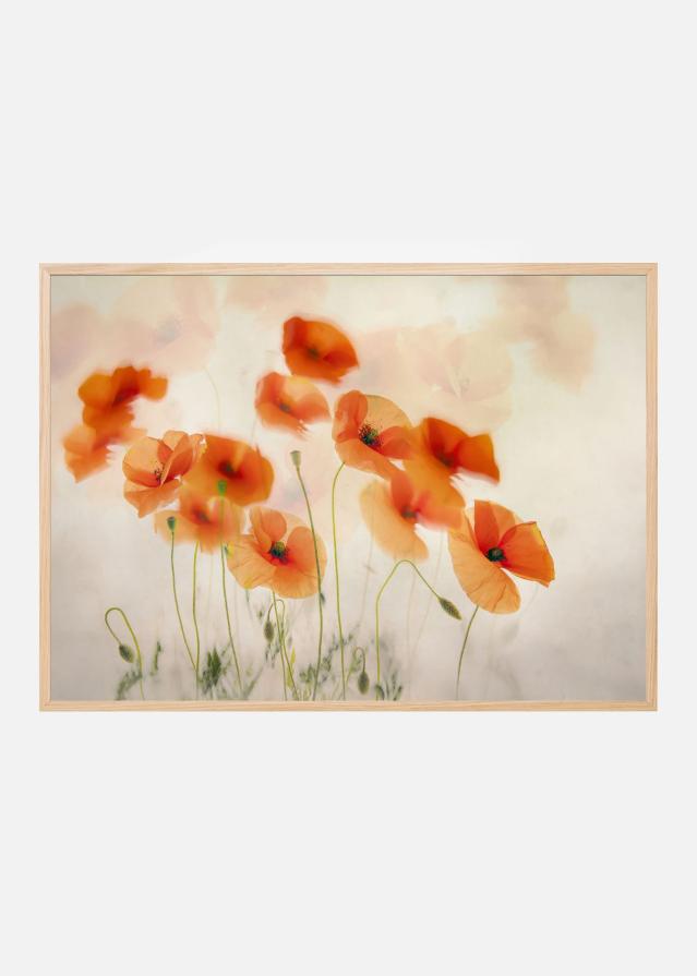 Waving in the wind Póster