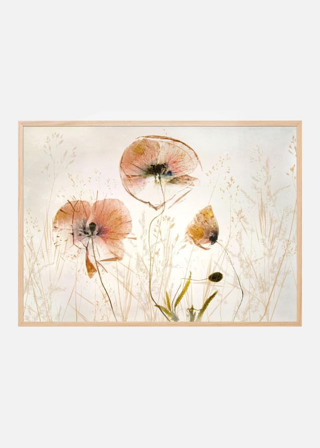 Light and soft Póster