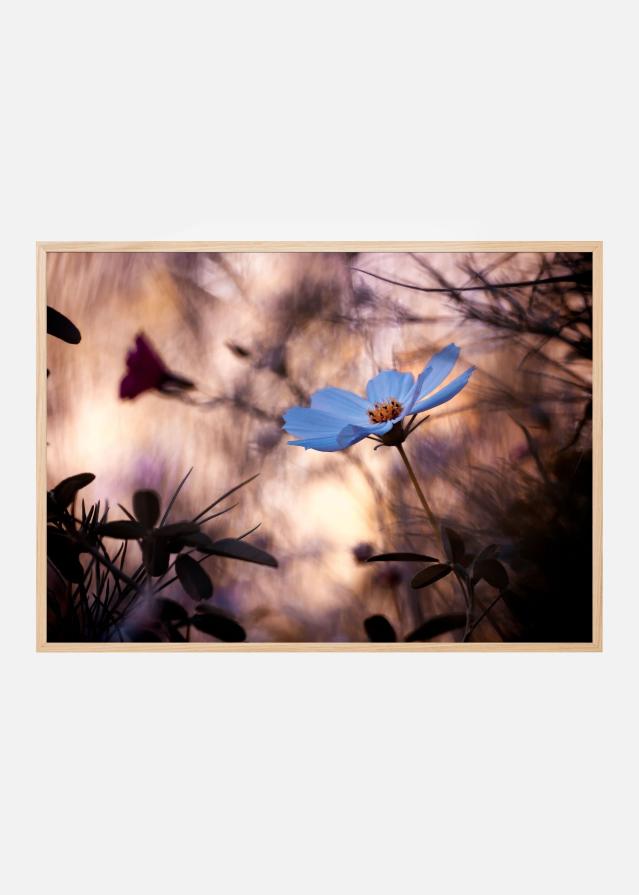 L’Indifférence Póster