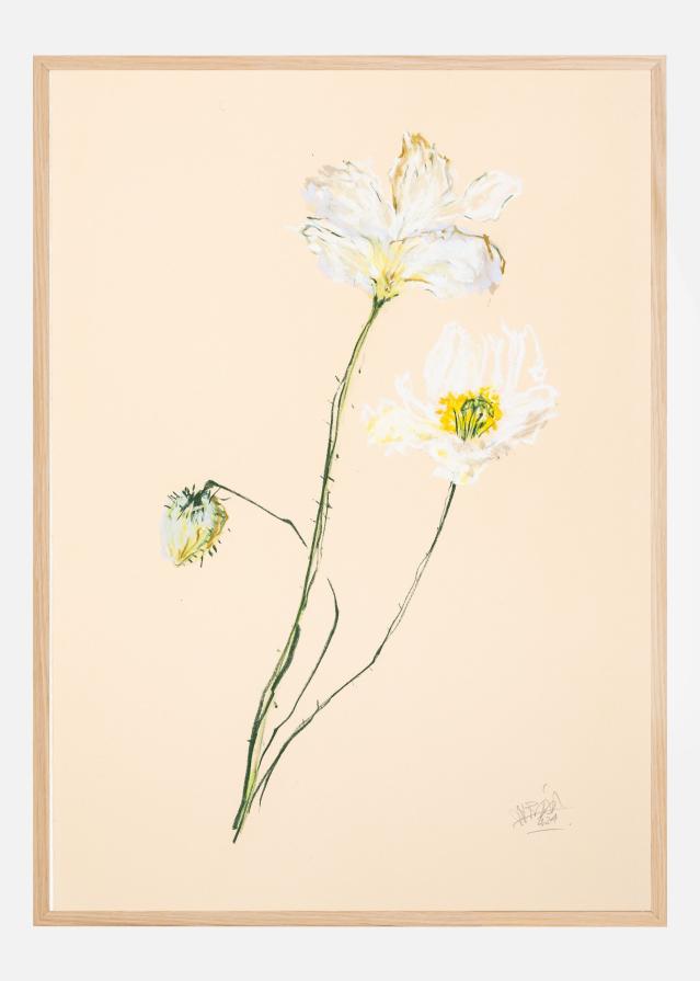 Flower Of Life VI Póster