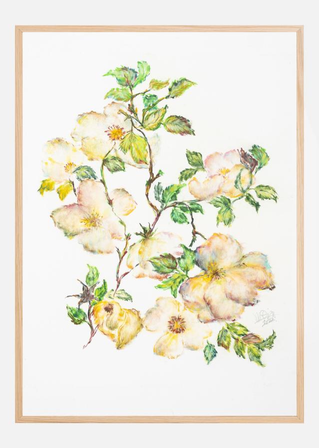 Flower Of Life V Póster