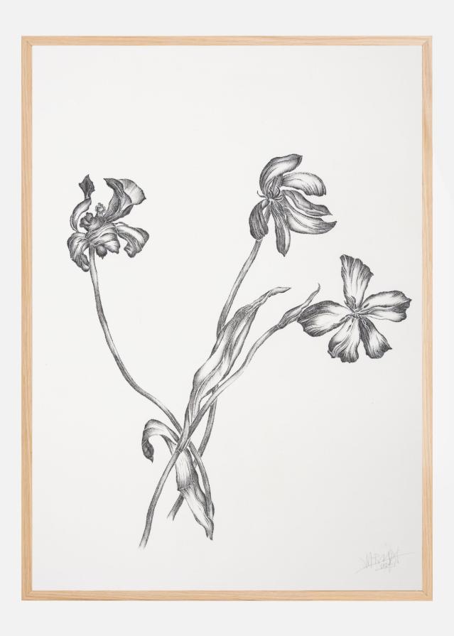 Where Have All the Flowers Gone VI Póster