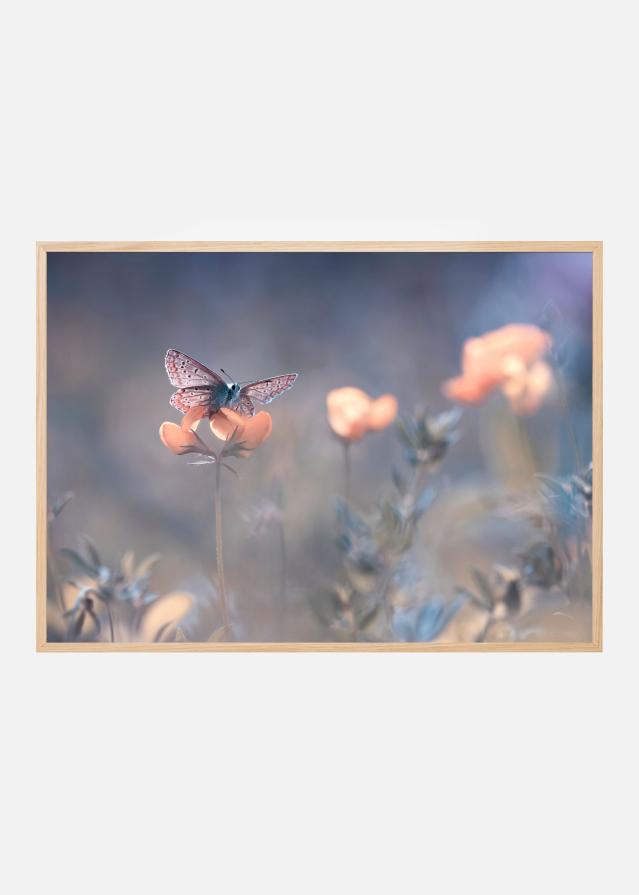 The Lady of Lothlorien Póster