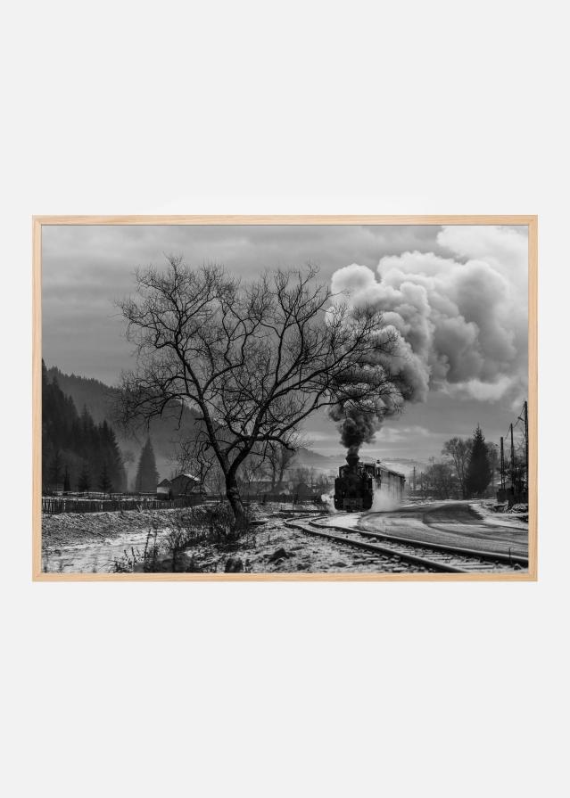 Mocanita Hutulca Póster