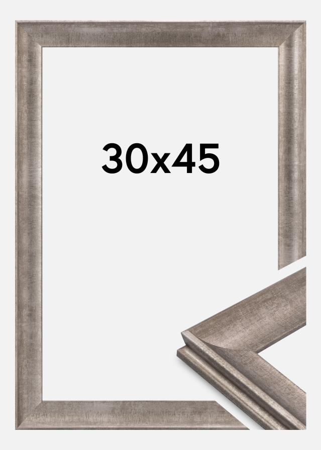 Marco Conca Vidrio acrílico Plata 30x45 cm