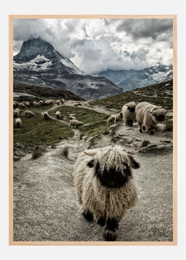 Out of my way Póster