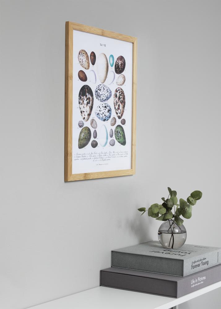 Marco Hoei Bambú 50x70 cm - Paspartús Blanco 40x60 cm