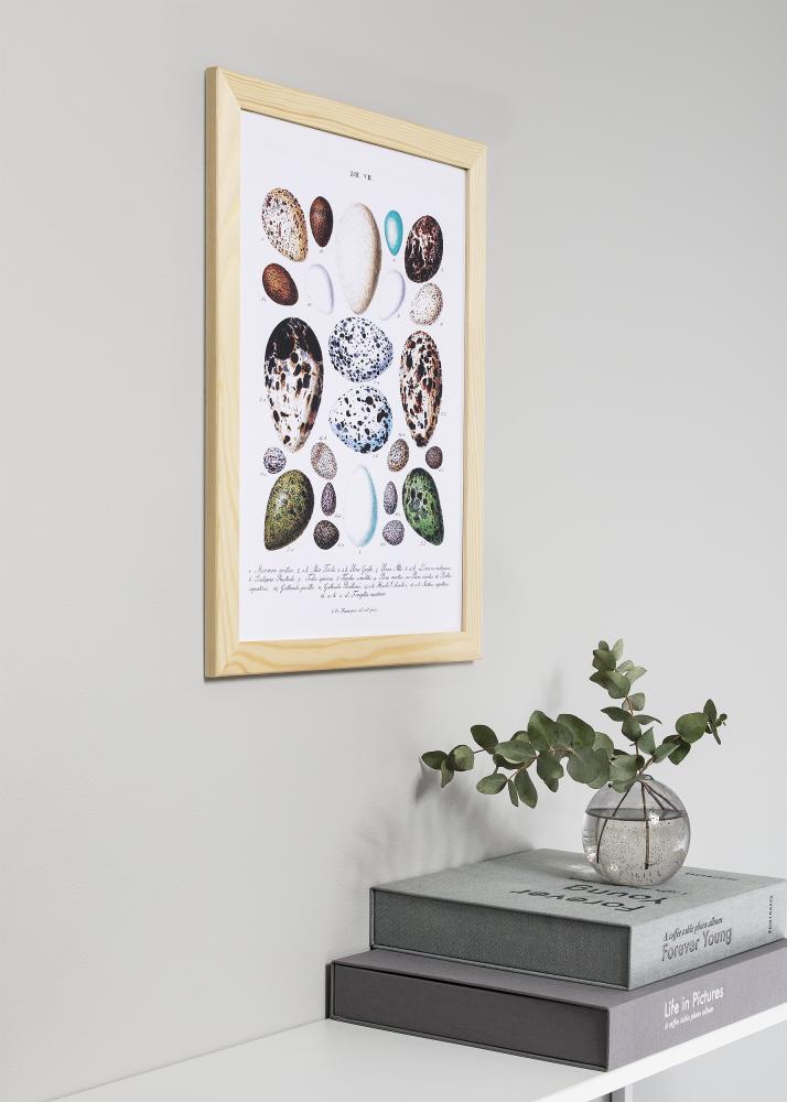 Marco Trendline Naturaleza 50x70 cm - Paspartús Blanco 40x61 cm