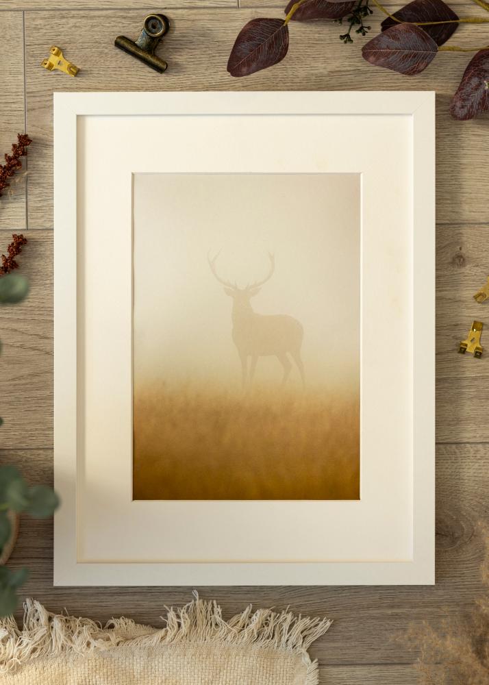 Marco BGA Classic Blanco 50x100 cm - Paspartús Blanco 40x90 cm