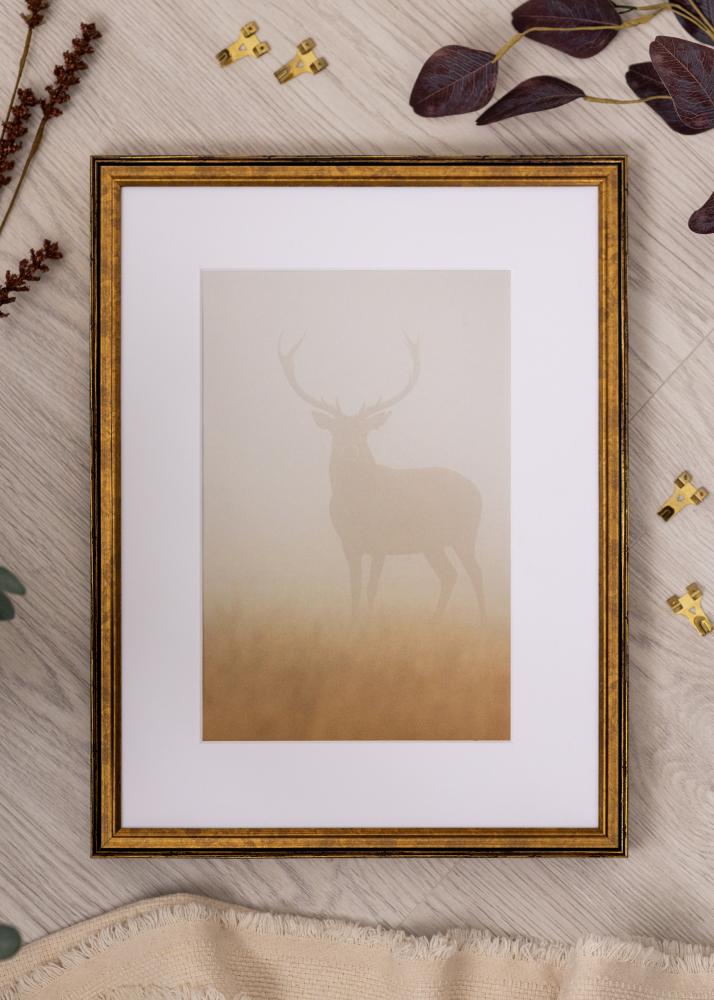 Marco Ringa Acrílico Dorado 59,4x84,1 cm (A1)