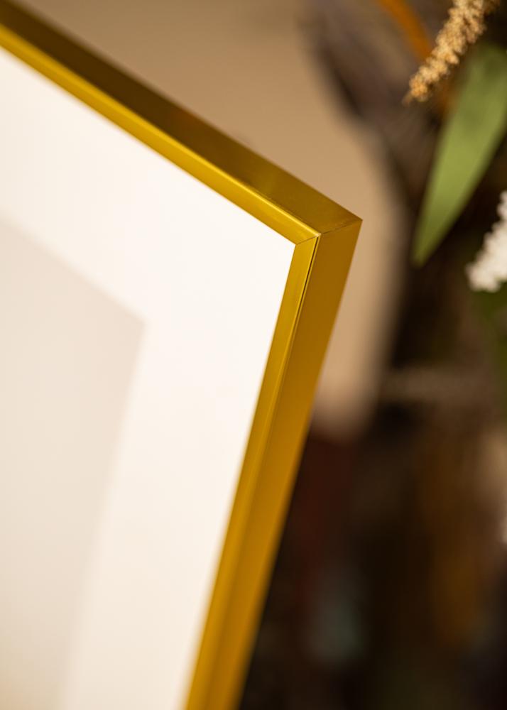 AluminiumMarco Vidrio acrílico Dorado 61x91,5 cm