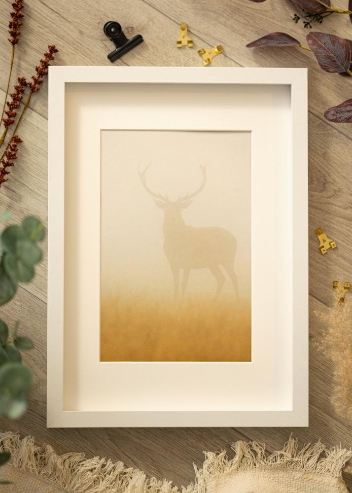 BGA Marco Caja Blanco 50x70 cm - Paspartús Blanco 40x60 cm