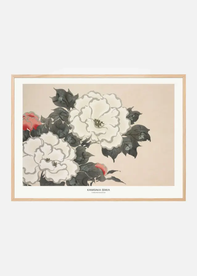 Flowers From Momoyogusa Póster