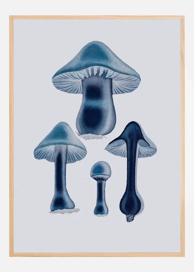 Agaricus Bulbosus - Blue Póster