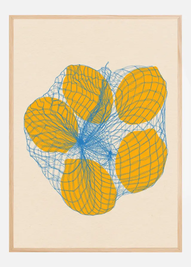 Five Lemons In a Net Bag Póster