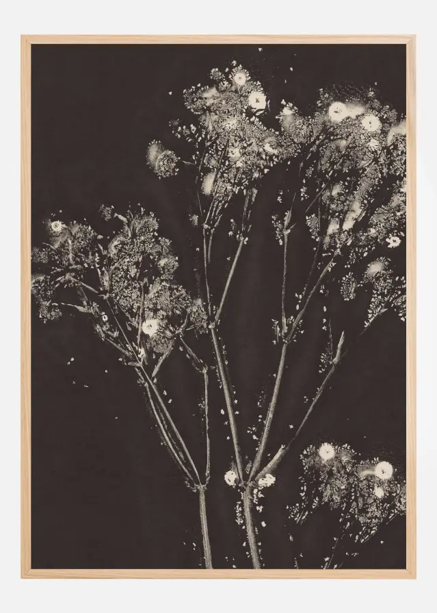 Floral Whispers Póster