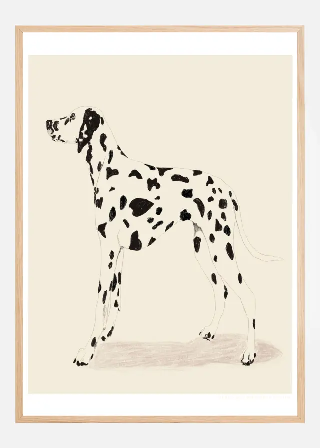 Pandc Dalmation Póster