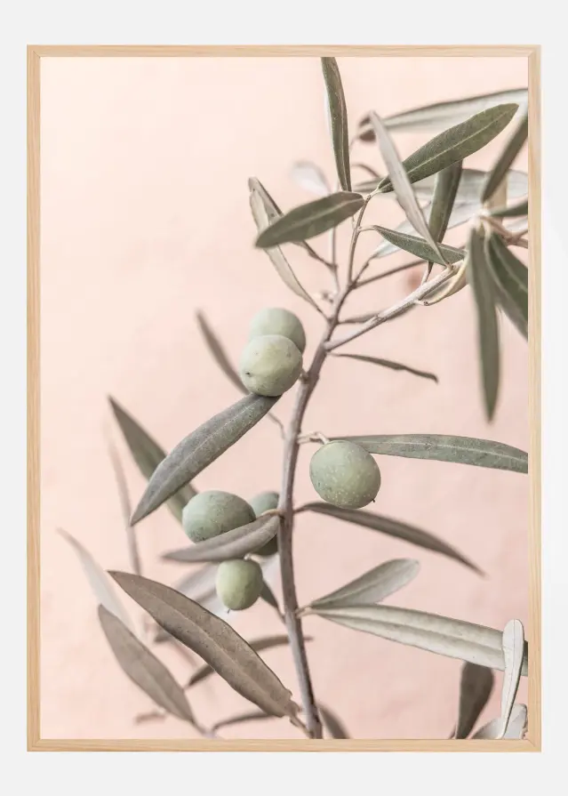 Olives Póster