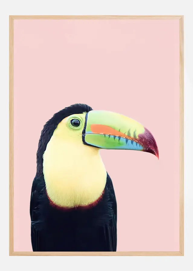 Toucan on Pink Póster