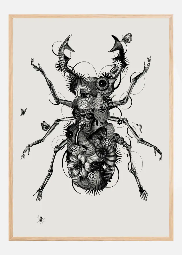 Stagbeetle Póster