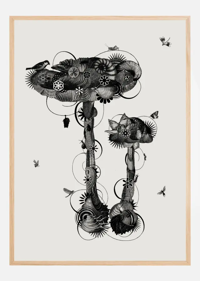 Amanita Mascara Póster