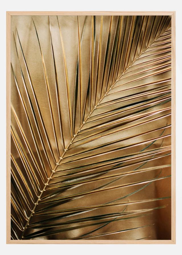 Golden Palm Póster
