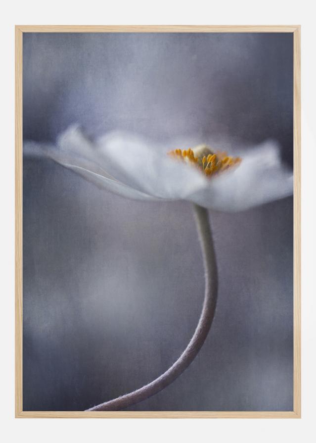 The Beauty Within Póster