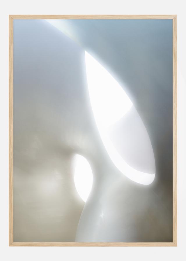 Organic Shapes Póster