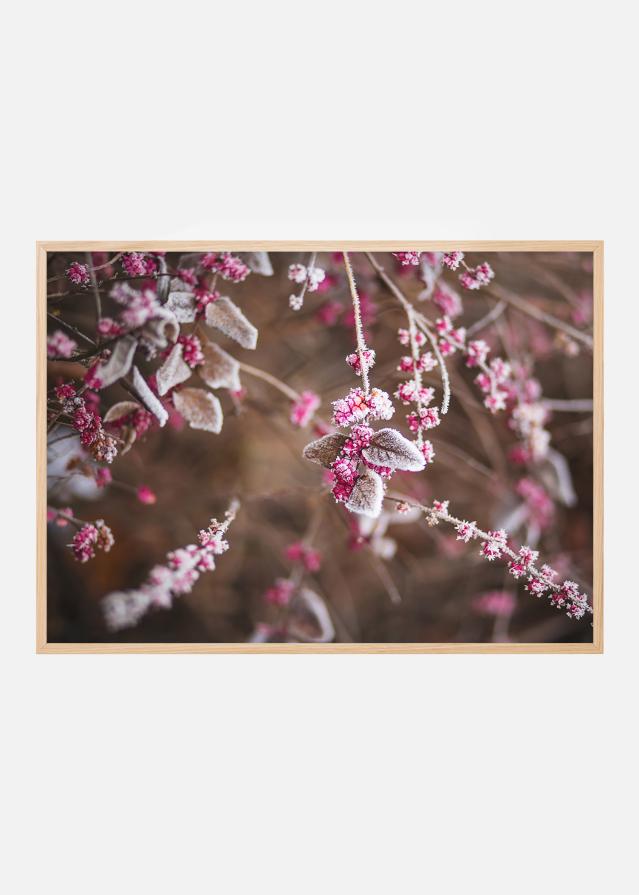 Póster flor en primer plano