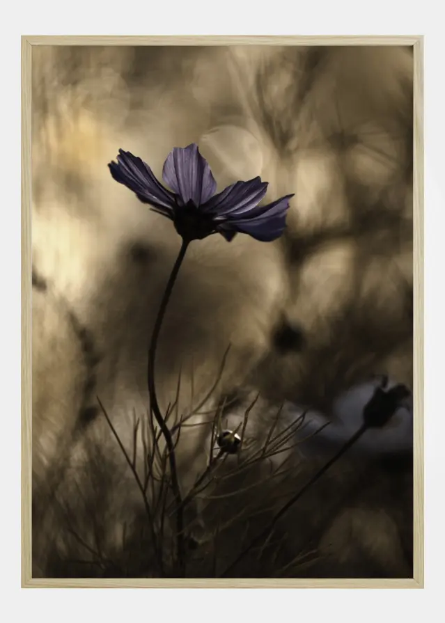 The Dancing Queen Póster