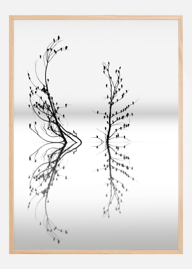 Dreamland 03 Póster