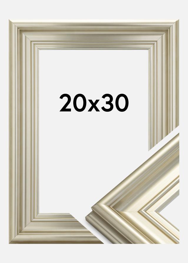 Marco Mora Premium Plateado 20x30 cm