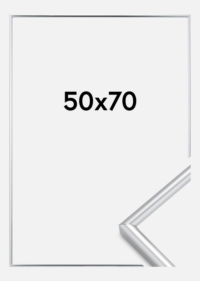Marco Galeria Plateado 50x70 cm