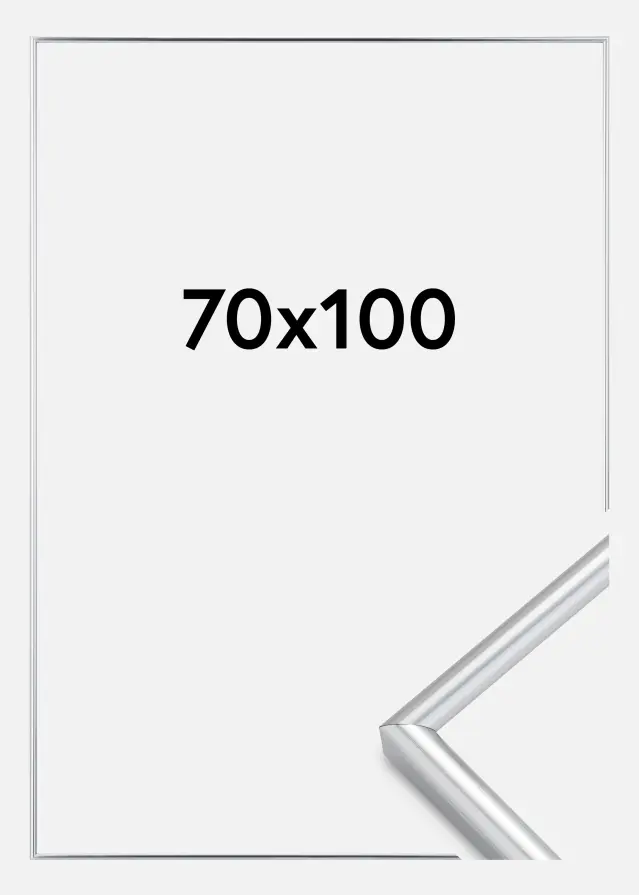 Marco Galeria Plateado 70x100 cm
