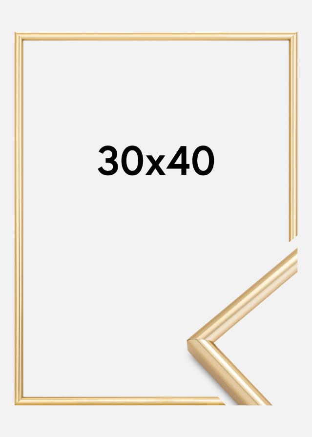 Marco Galeria Dorado 30x40 cm